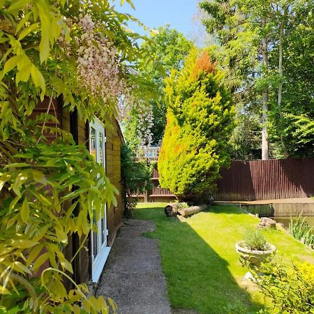 Woodies Peasmarsh エクステリア 写真